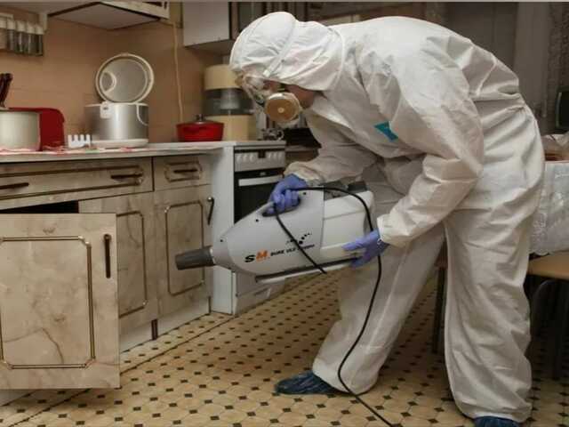 сэс Вологда